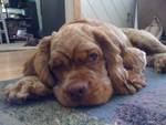 toby6mo